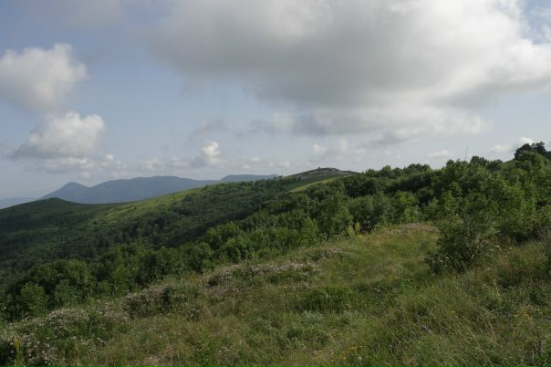 Сергей Гомов фото №46