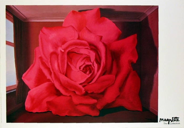 Игорь Викторович фотография #25