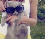 Фотография Орёл Жени