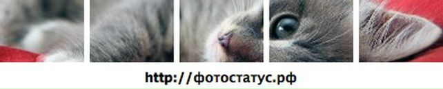 Анастасия Солдатова фотография #23 (источник - https://vk.com/id10623)