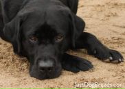 Фотография Кельсиковой Людочек