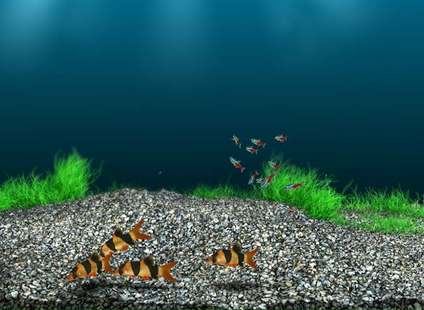 Рустам Кушаев фото №4