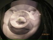 Вован Гулевич фотография #49 (источник - https://vk.com/id55475573)