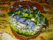 Фотография Тереховой Марии