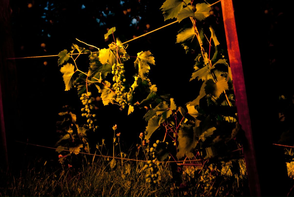 Дмитрий Арефьев фотография #43