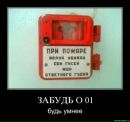 Анастасія Федоришин фотография #38 (источник - https://vk.com/id97169027)