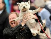 Fred Sherman фотография #4 (источник - https://vk.com/id2473596)