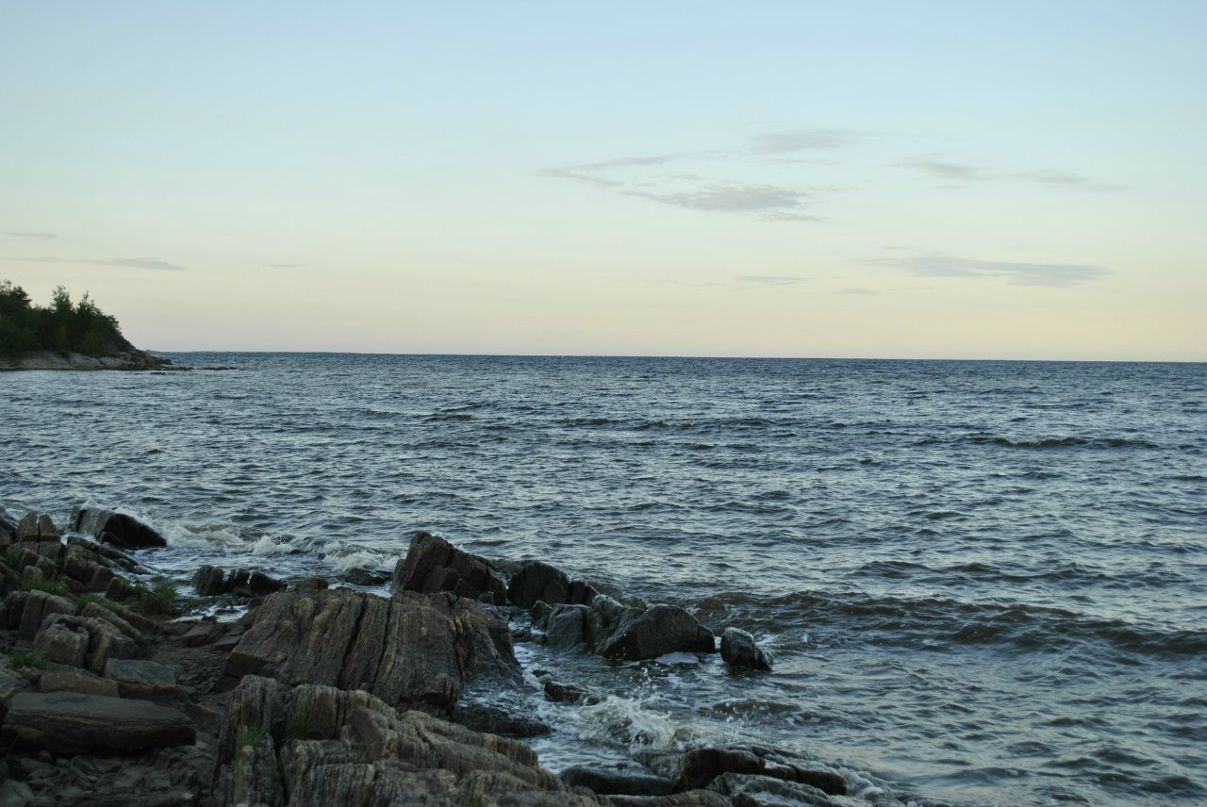 Дмитрий Павловский фотография #24