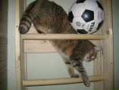 Дашка Модова фотография #40 (источник - https://vk.com/id2251602)