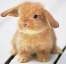 Фотография Василевской Ирины