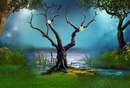 Амінка Ручинська фотография #7 (источник - https://vk.com/id142510365)