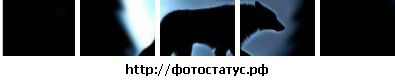 Юля Іванчишин фотография #1