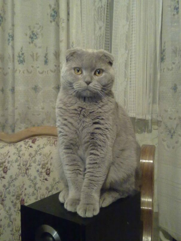 Иван Родыгин фотография #27