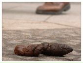 Фотография Распаевой Александры