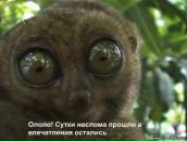 Фотография Яра Андрея