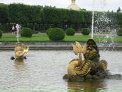 Максим Іванків фотография #6 (источник - https://vk.com/id85052170)