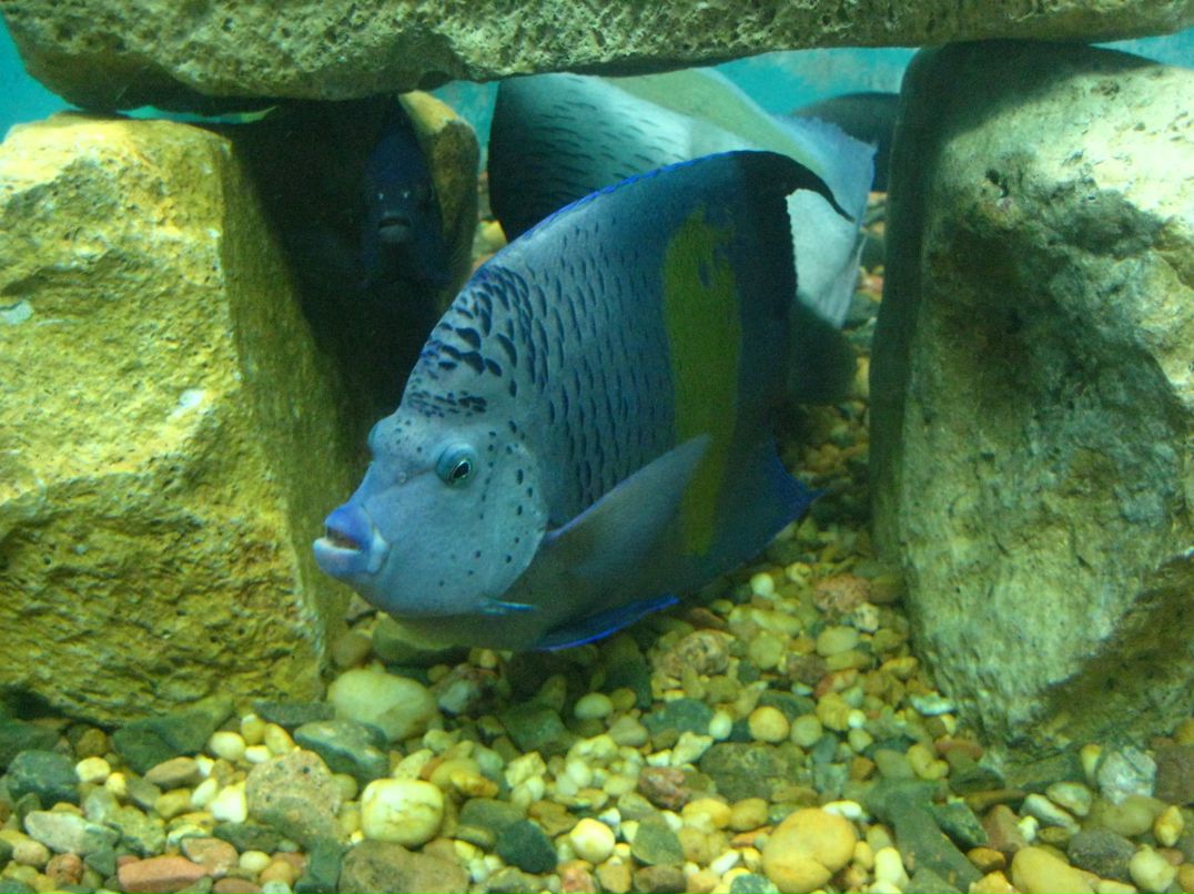 Михаил Авдеев фотография #41