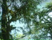 Иван Кузнецов фотография #8 (источник - https://vk.com/id98103)