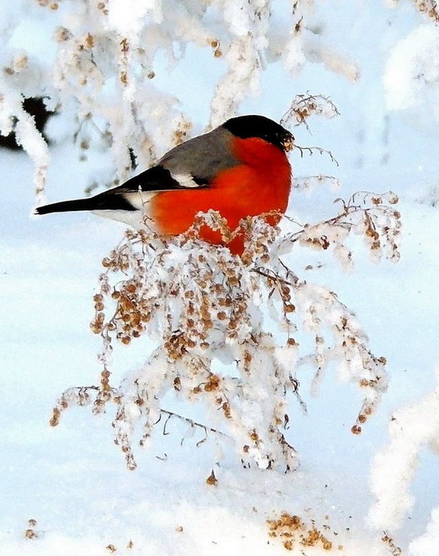 Люда В фотография #7