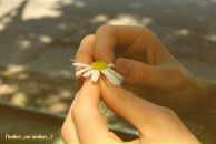 Фотография Bonga Spring