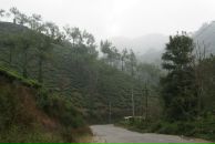 Даша Дашина фотография #35 (источник - https://vk.com/id2891457)