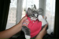 Милена Уланова фотография #22 (источник - https://vk.com/id340783)