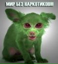 Міша Собкiв фотография #39 (источник - https://vk.com/id138774625)