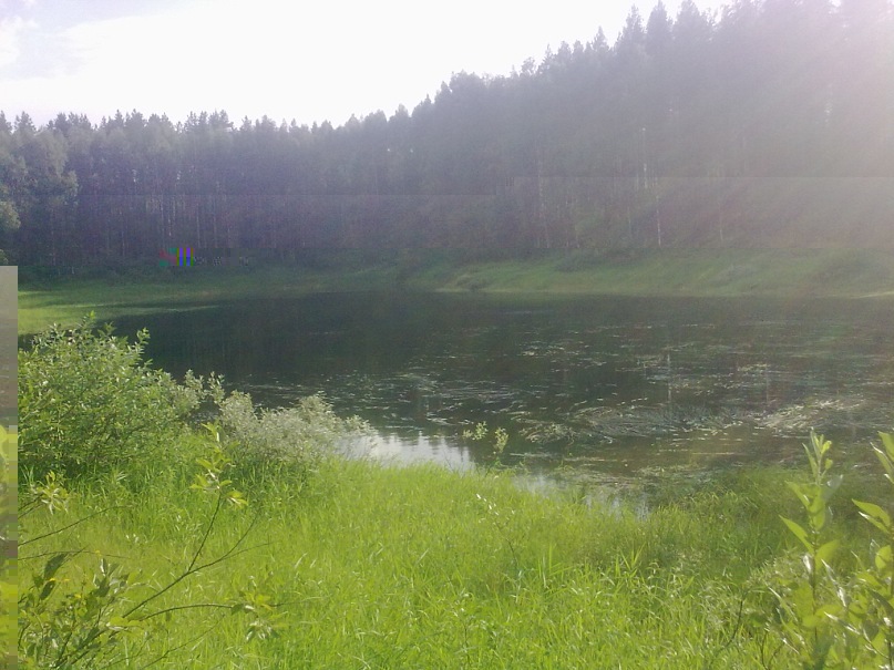 Коля Уланкин фотография #43