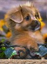 Вероніка Гутник фотография #1