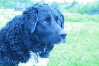 Фотография Берегенько Алексея