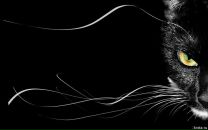 Фотография Селивановой Марии