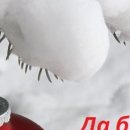Нюта Юрків фотография #11 (источник - https://vk.com/id155900620)