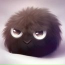 Фотография Доброхотова Анатолия