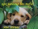 Олег Майкут-Тимцюрак фотография #29 (источник - https://vk.com/id149404063)