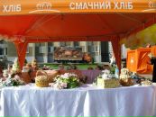 Наталія Кошка фотография #42 (источник - https://vk.com/id55018463)