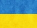 Ромчик Новіцький фотография #8 (источник - https://vk.com/id62288370)