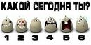 Фотография Аверкиева Михаила