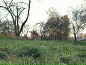 Рю Мураками фотография #29 (источник - https://vk.com/id2067589)