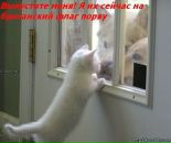 Ірина Редько фотография #9 (источник - https://vk.com/id55667456)