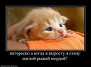 Микола Корженко фотография #41 (источник - https://vk.com/id163858304)