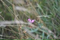 Фотография Калимуллиной Светланы