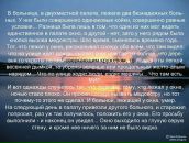 Фотография Стадника Евгения