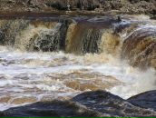 Фотография Зориной Ольги