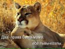 Фотография Бружес Алёны