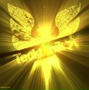 Макс Васінчук фотография #9 (источник - https://vk.com/id220334936)