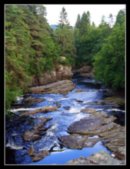 Plusha Кислая фотография #6 (источник - https://vk.com/id3554272)