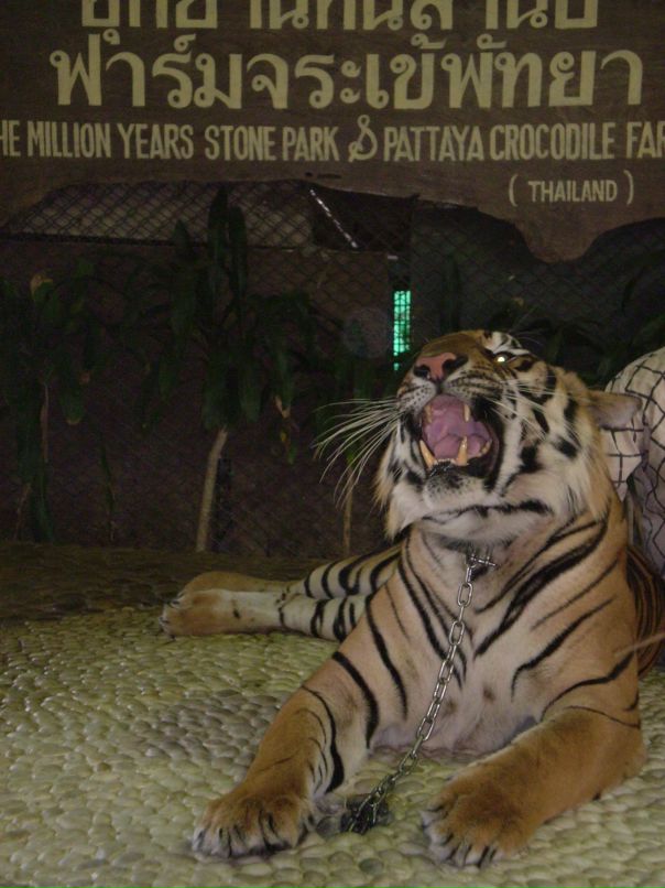 Sergey Kravchuk фотография #14