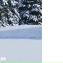 Ілонка Вихопень фотография #10 (источник - https://vk.com/id138294509)