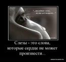 Фотография Попелешко Марины