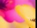 Юлічка Ящук фотография #7 (источник - https://vk.com/id19781727)